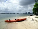 Kayaking adventure in Miami