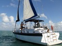 Downtown Miami - sailing charter