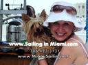 Miami pet friendly sailing charter