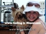 miami pet friendly charter XS