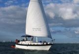 sail boat charters on Miami Boat Show Strictly Sail
